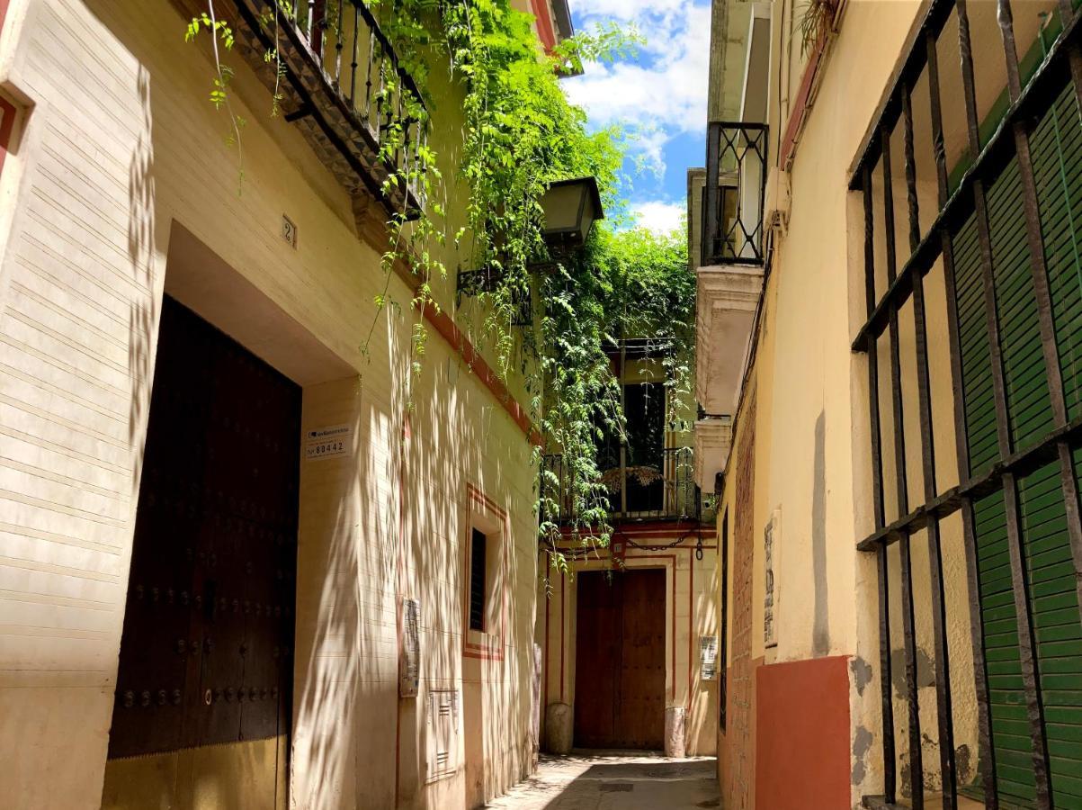 Acogedor Apt 8Pax 4Bdr 2Bth- Cozyhomesevilla2 Exterior photo